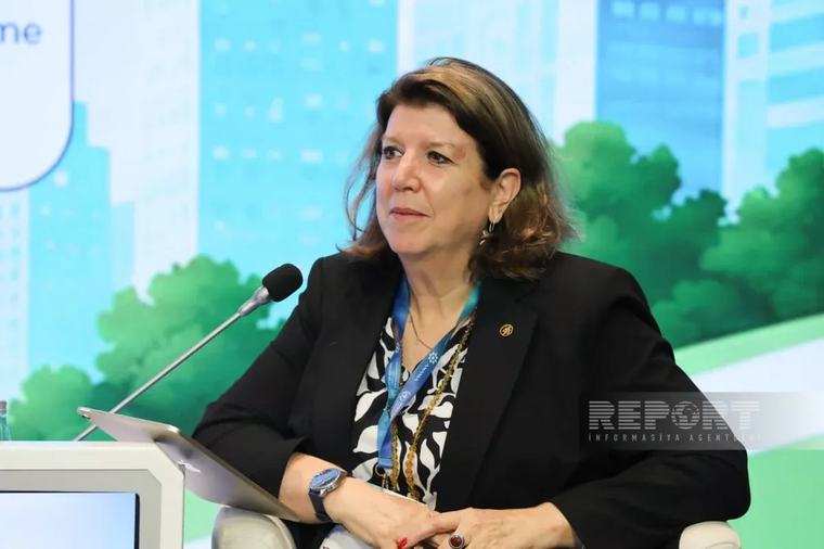 UN-Habitat: Разминирование может быть интегрировано в госполитику Азербайджана ПОЛИТИКА