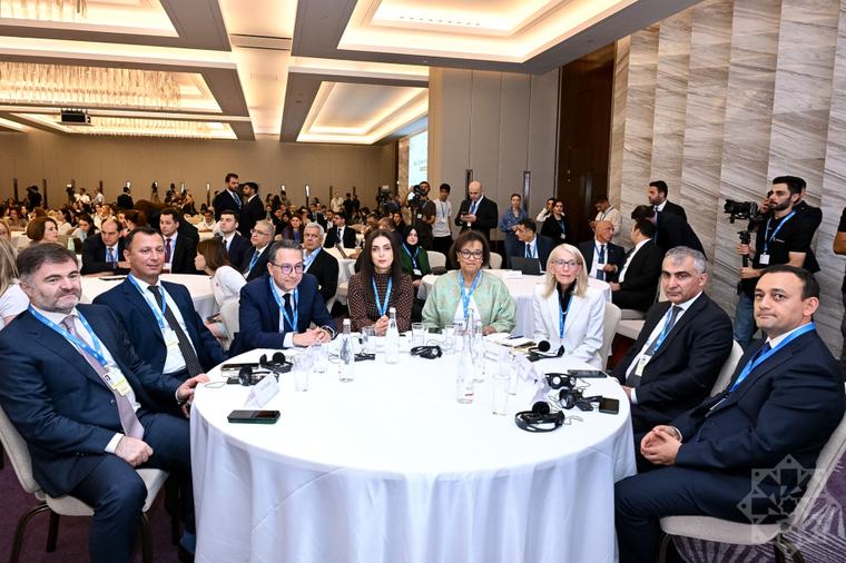 “Bakı İqlim Fəaliyyəti Həftəsi 2026” (BCAW 2026) başlayıb