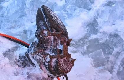 Rusiyada 10 alpinist itkin düşdü