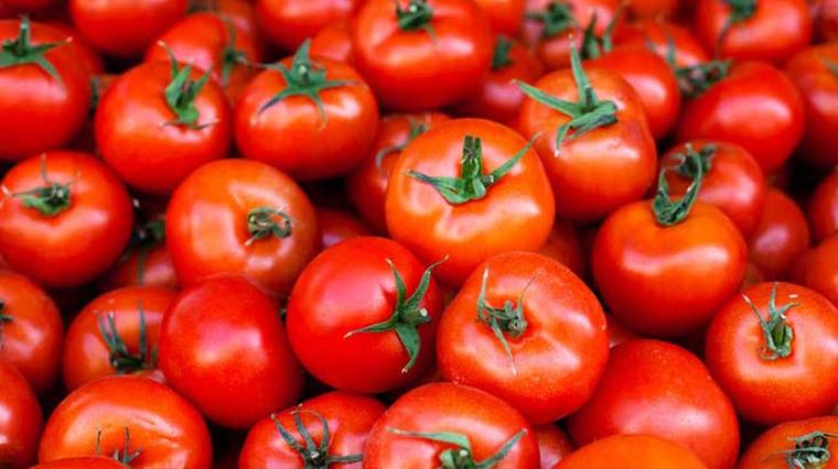 Azerbaijan exports $172 million worth of tomatoes in seven months