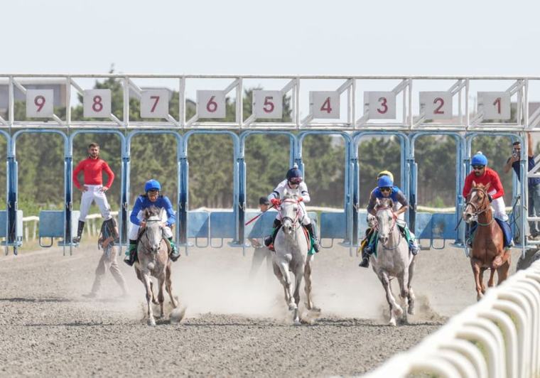 Karabakh and Dilbaz horses compete in latest races at Bina Equestrian Center