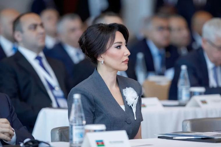 Омбудсмен Азербайджана жёстко ответила на инсинуации армянской правозащитницы ПОЛИТИКА 05 Сентября 2026 11:01 45